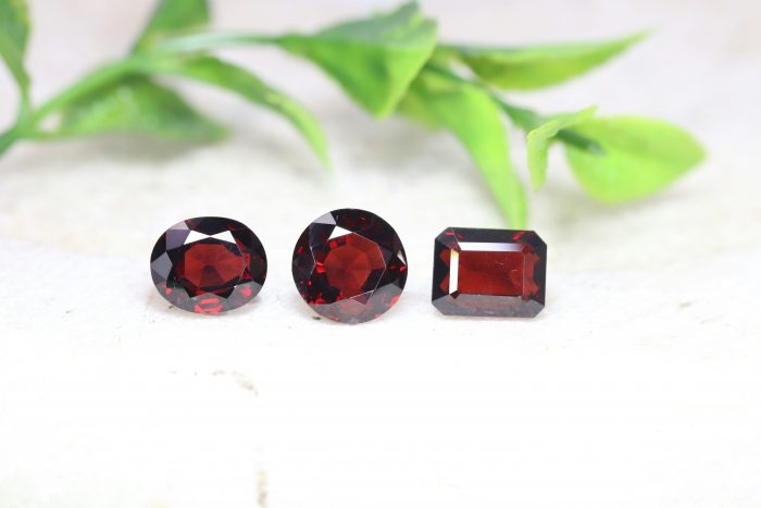 Garnet earrings in front of a plant.