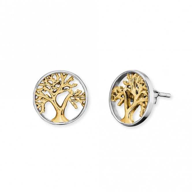 Angel Whisperer  from Engelsrufer Tree of Life Two Tone Stud Earrings 1.2cm 