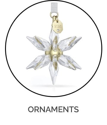 Swarovski Ornaments Under £100