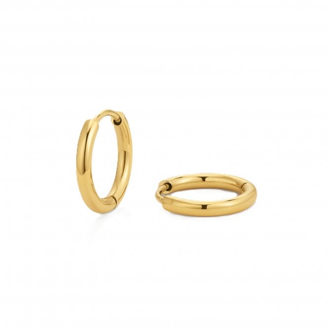 D.Louise  Essential Earrings Extra Small Gold Tone Hoops 10mm