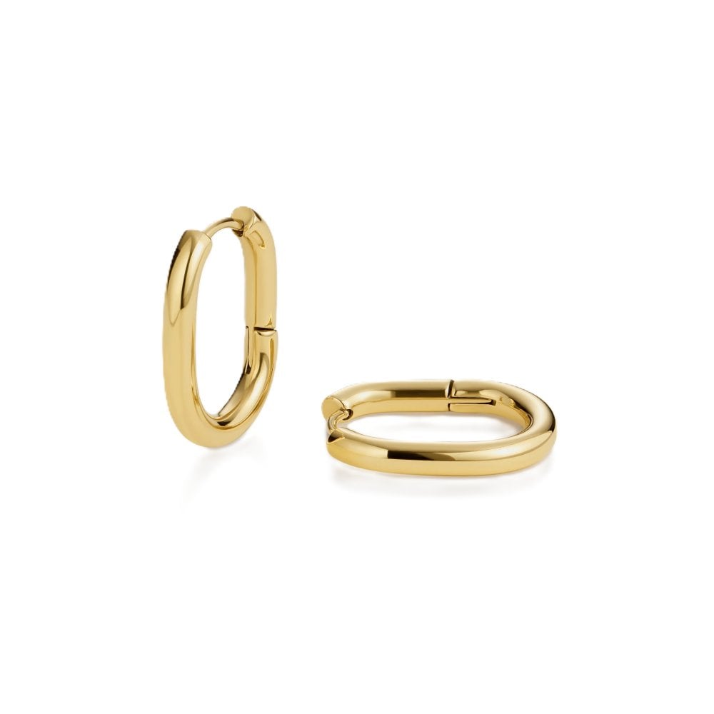 D.LOUISE GE-015 14ct Yellow Gold PVD Plated Oval Hoop Jewellery - Image 3