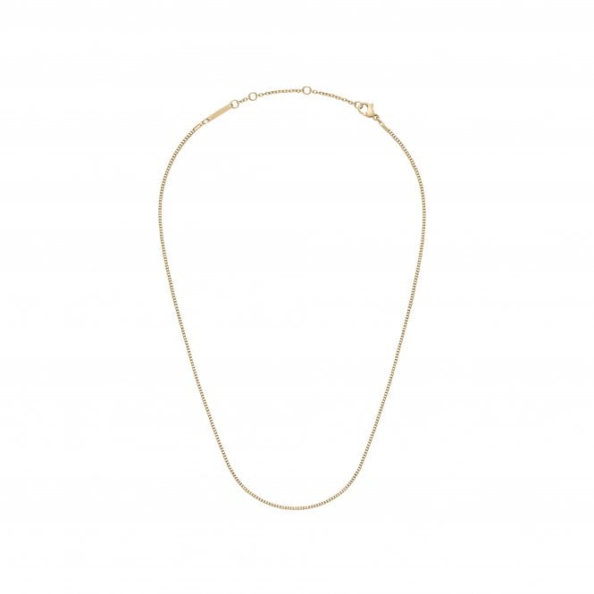 Daniel Wellington  Box Chain Gold Tone Necklace 40-44cm