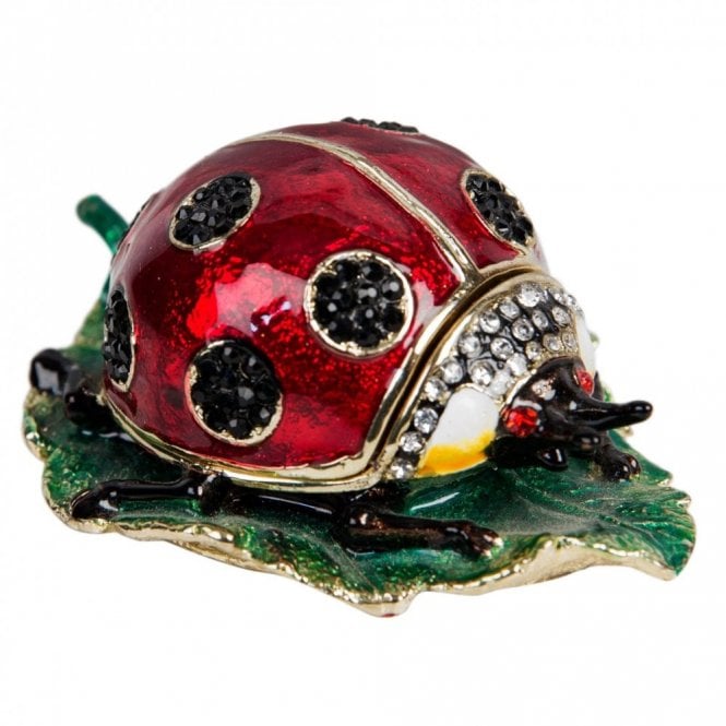 Gifts Treasured Trinkets - Ladybird 35 x 57mm