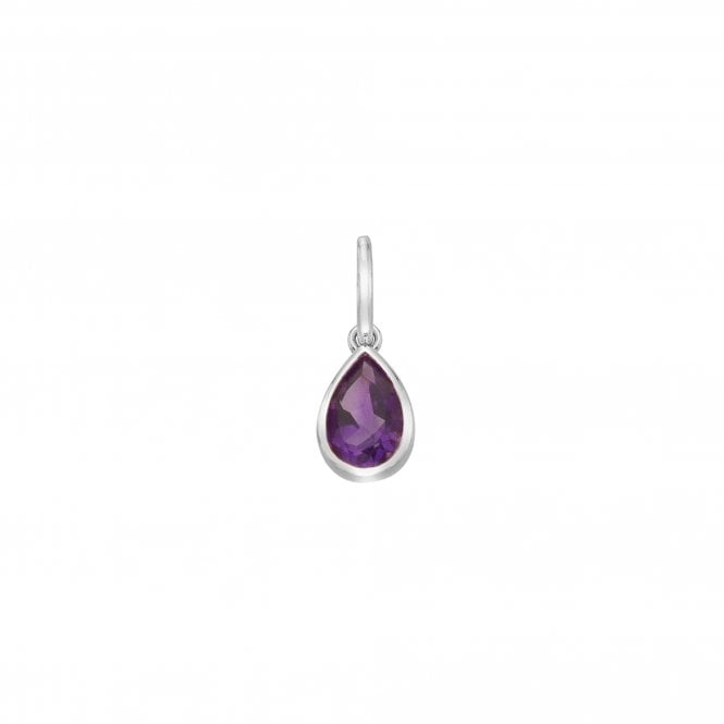 Hot Diamonds  Birthstone February Birthstone Charm  