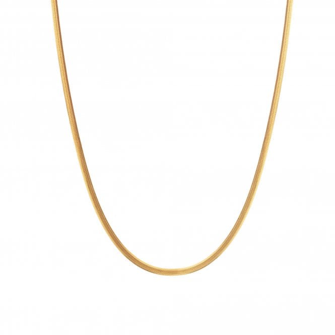 Hot Diamonds x Golden Edit  Embrace Oval Gold Tone Snake Chain 40-45cm