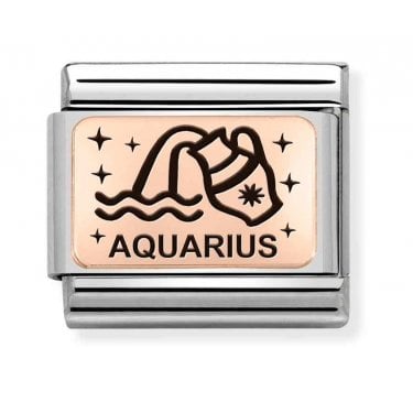 Nomination Aquarius Rose Gold Charm