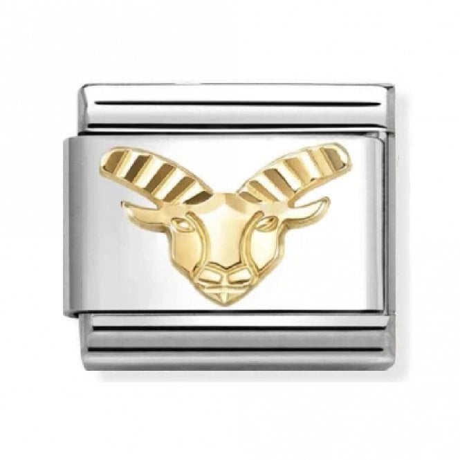 Nomination  Capricorn Zodiac Etched Yellow Gold Charm