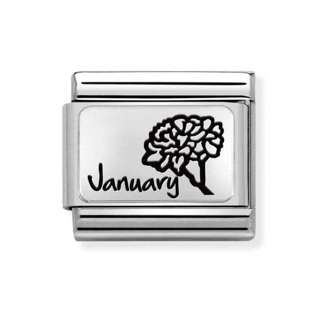Nomination  January Flower Plate Silver Shine Charm