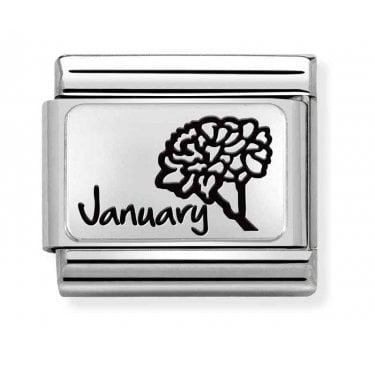 Nomination January Flower Plate Silver Shine Charm