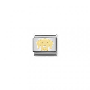 Nomination Labrador Retriever Yellow Gold