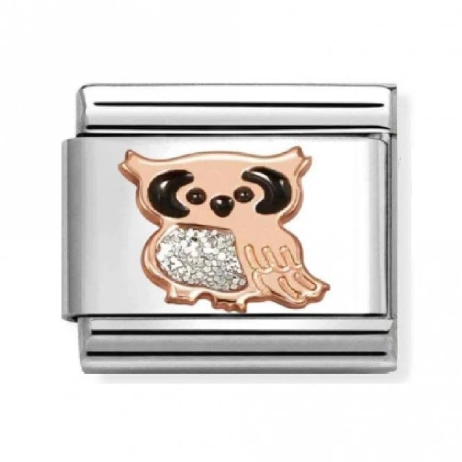 Nomination  Sliver Glitter Owl Rose Gold Charm