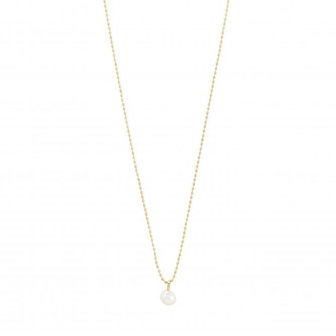 Pilgrim  Hadley Freshwater Pearl Gold Tone Necklace 40cm + 9cm 