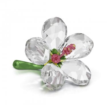 Swarovski Florere Hibiscus Small 4 x 6 x 4.7cm