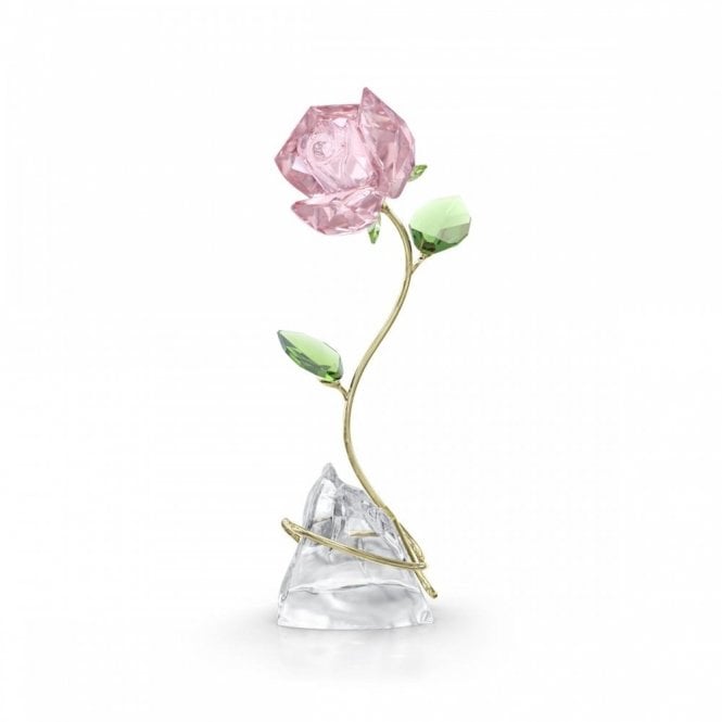 Swarovski Ornaments Swarovski Florere Rose 11.6 x 5.3 x 4.1cm