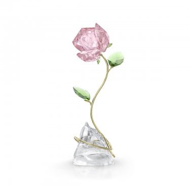 Swarovski Florere Rose 11.6 x 5.3 x 4.1cm