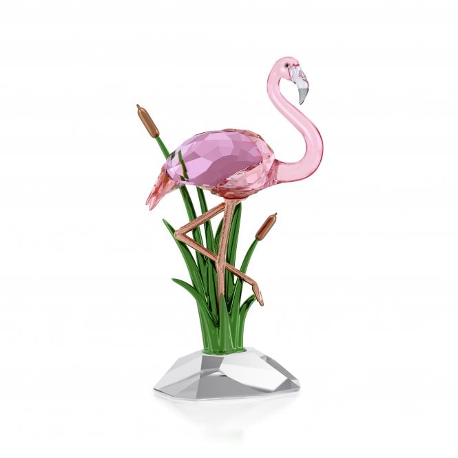 Swarovski Ornaments Swarovski Idyllia Flamingo 9.4 x 8.2 x 17.7cm  