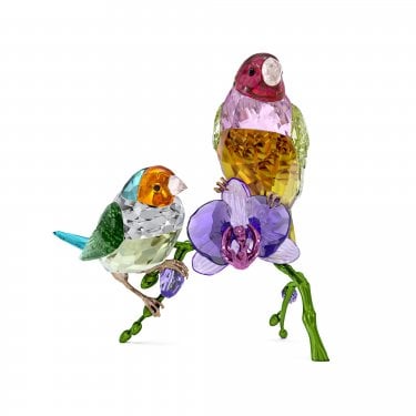 Swarovski Idyllia SCS Annual Edition 2024 Gouldian Finches 11.4 x 11.3 x 10cm