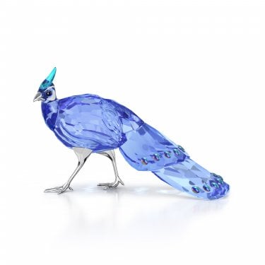 Swarovski Idyllia SCS Palawan Peacock Pheasant 7.8 x 3.4 x 5cm 