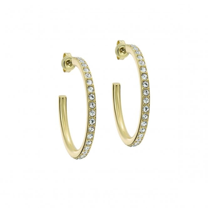 Ted Baker  Clanci Crystal Medium Gold Tone Hoop Earrings 30mm