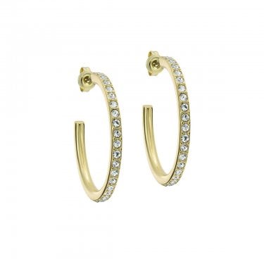Ted Baker Clanci Crystal Medium Gold Tone Hoop Earrings 30mm