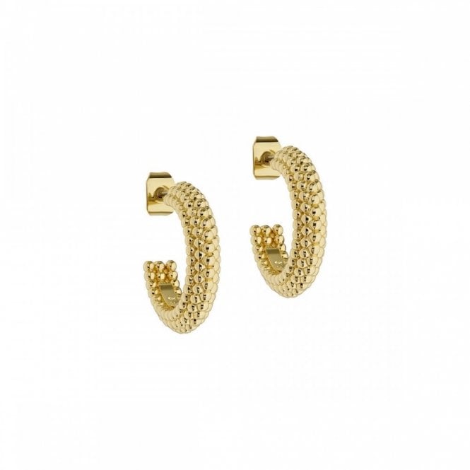 Ted Baker  Dotett Dotty Gold Tone Hoop Earrings 1.8cm