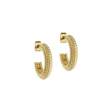 Ted Baker Dotett Dotty Gold Tone Hoop Earrings 1.8cm