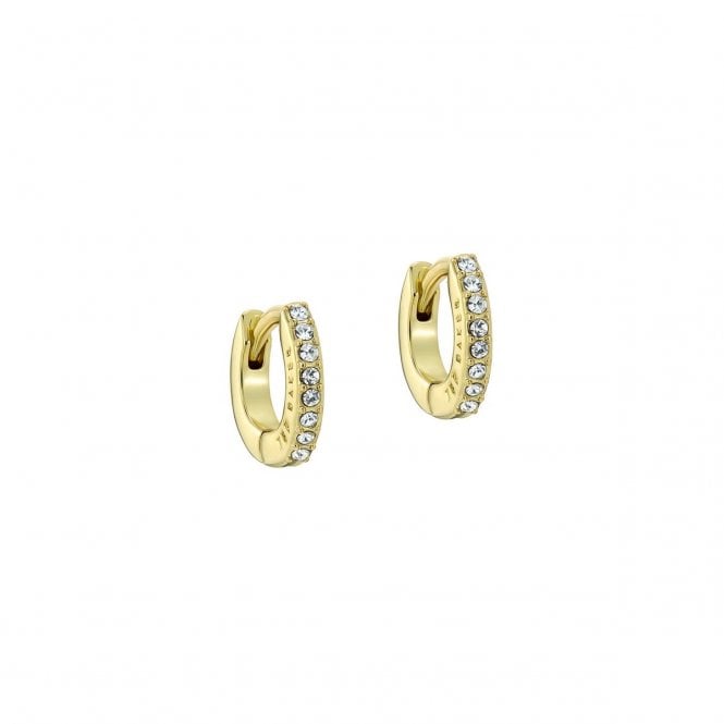 Ted Baker  Hettie Crystal Gold Tone Hoop Earrings 10mm
