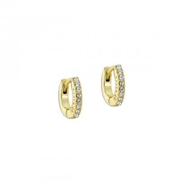 Ted Baker Hettie Crystal Gold Tone Hoop Earrings 10mm