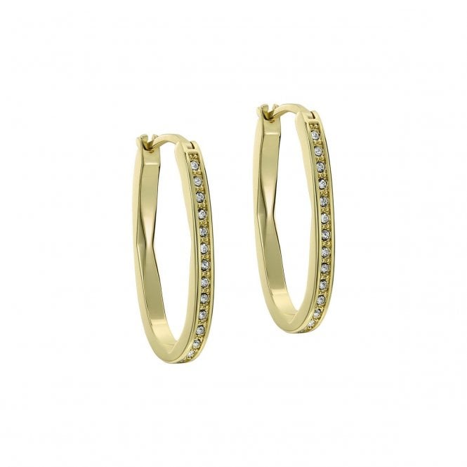Ted Baker  Shivanna Crystal Shimmer Gold Tone Hoop Earrings 3.1 x 1.9cm 