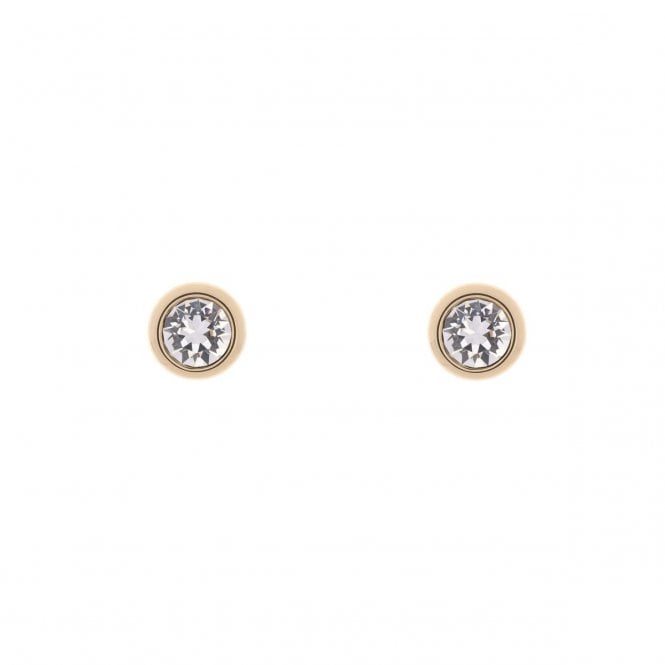 Ted Baker  Sinaa Crystal Gold Tone Stud Earrings 0.6cm 