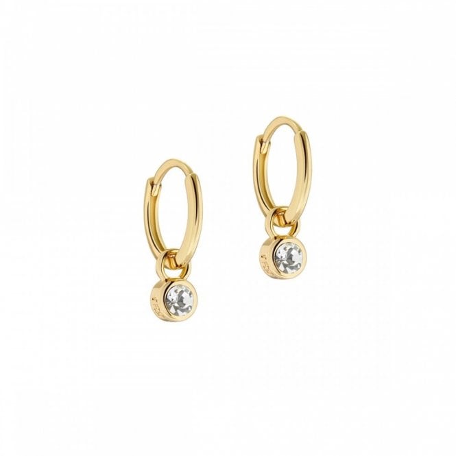 Ted Baker  Sinalaa Gold Tone Crystal Huggie Earrings 1.5cm 