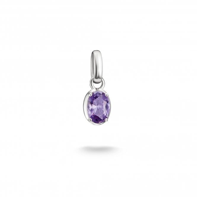 Thomas Sabo  Charm Club Connect February Birthstone Charm 1.6 x 0.6cm